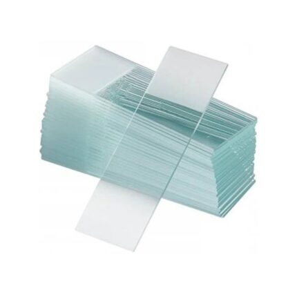 Frosted Microscope Glass Slides (50 Slides) - Pack of 12